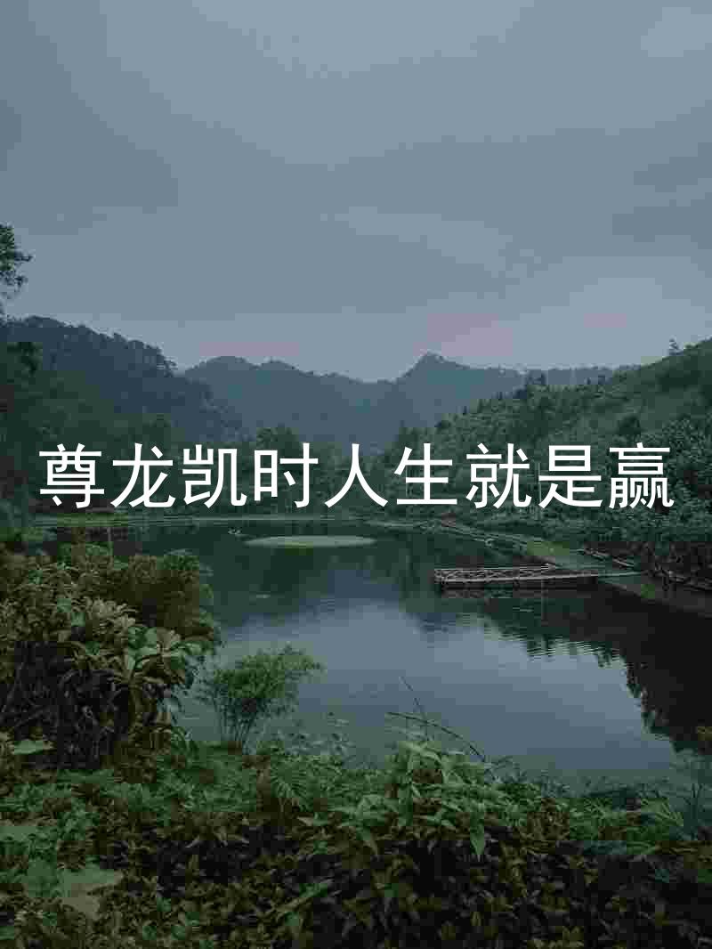 尊龙凯时人生就是赢
