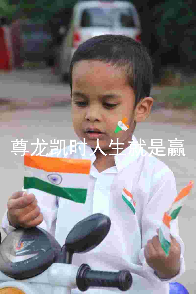 尊龙凯时人生就是赢