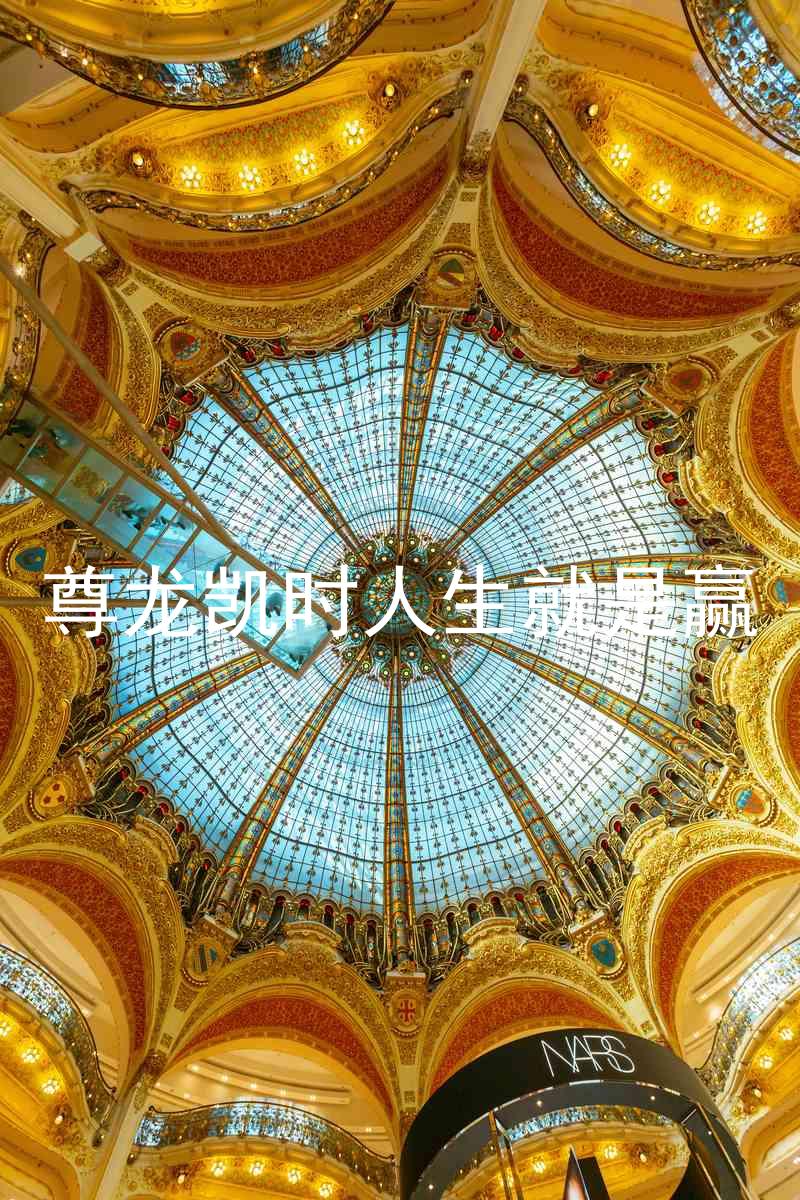 尊龙凯时人生就是赢