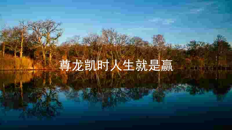 尊龙凯时人生就是赢