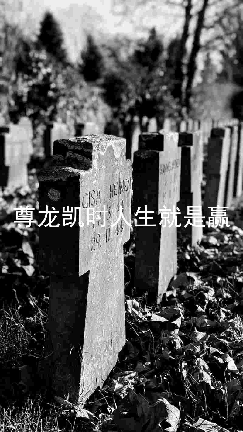 尊龙凯时人生就是赢