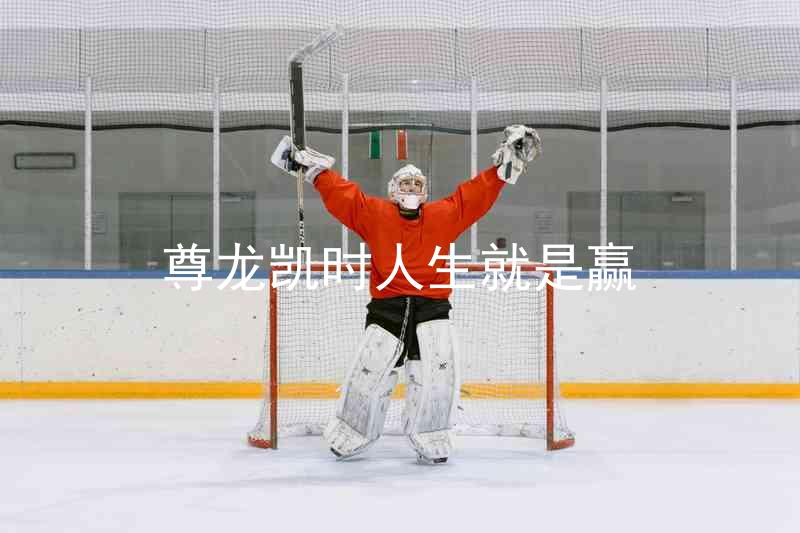 尊龙凯时人生就是赢