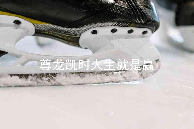 尊龙凯时人生就是赢