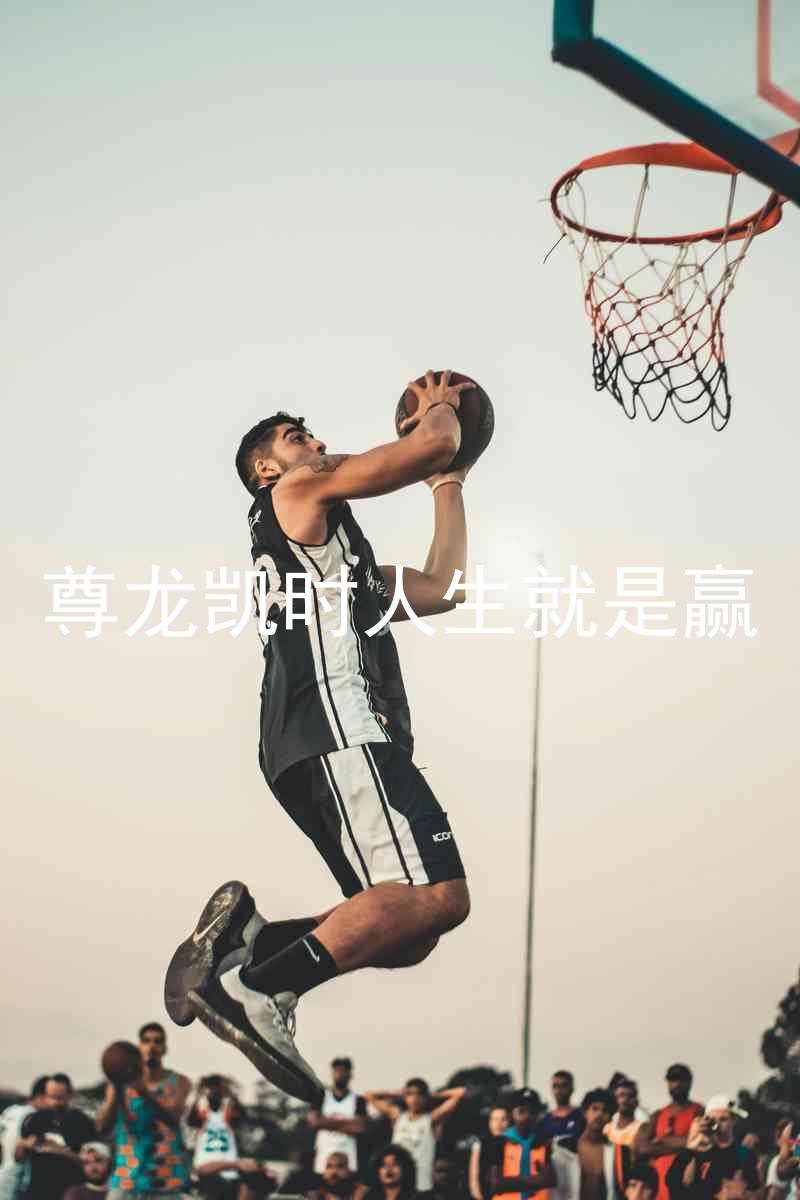 尊龙凯时人生就是赢