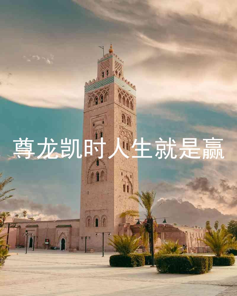 尊龙凯时人生就是赢
