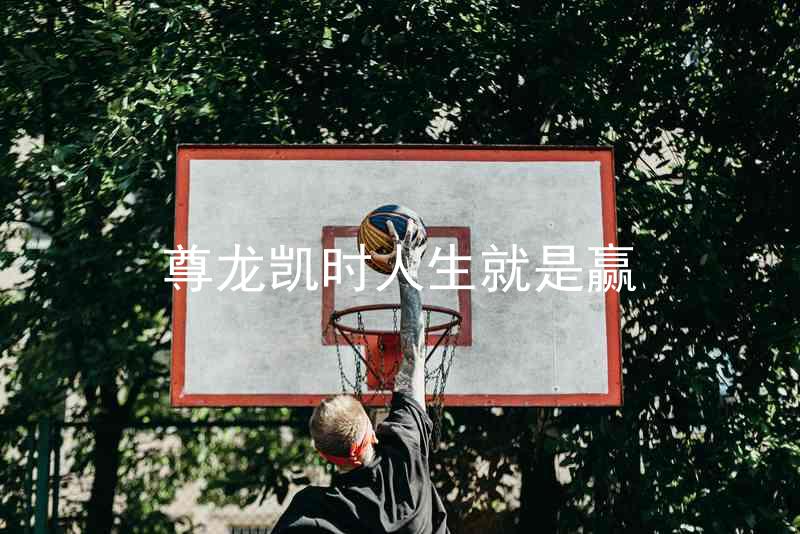 尊龙凯时人生就是赢