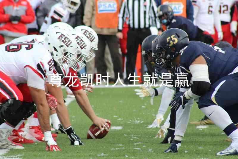尊龙凯时人生就是赢