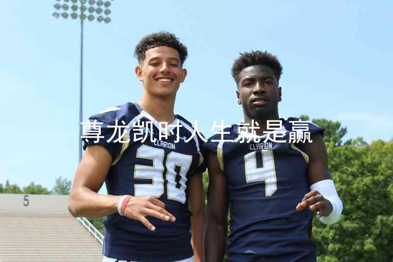 尊龙凯时人生就是赢