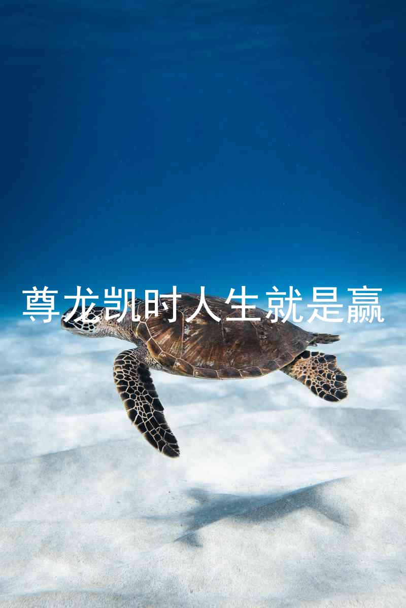 尊龙凯时人生就是赢