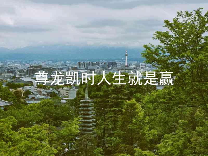 尊龙凯时人生就是赢