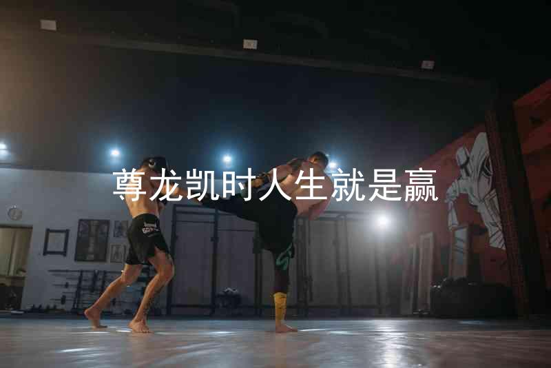 尊龙凯时人生就是赢
